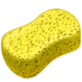 pic of a sponge